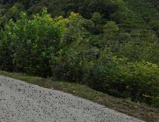 terreno agricolo in vendita a Farra di Soligo