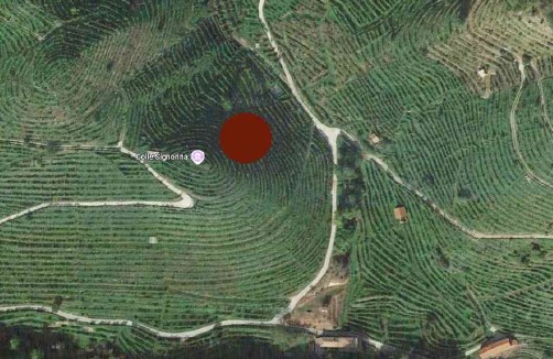 terreno agricolo in vendita a Farra di Soligo