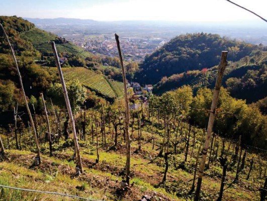terreno agricolo in vendita a Farra di Soligo in zona Soligo