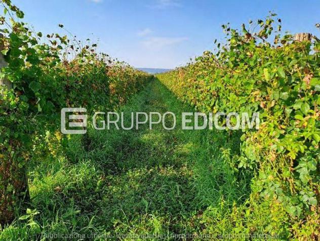 terreno agricolo in vendita a Farra di Soligo