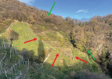 terreno agricolo in vendita a Farra di Soligo