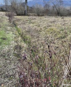 terreno agricolo in vendita a Farra di Soligo in zona Col San Martino