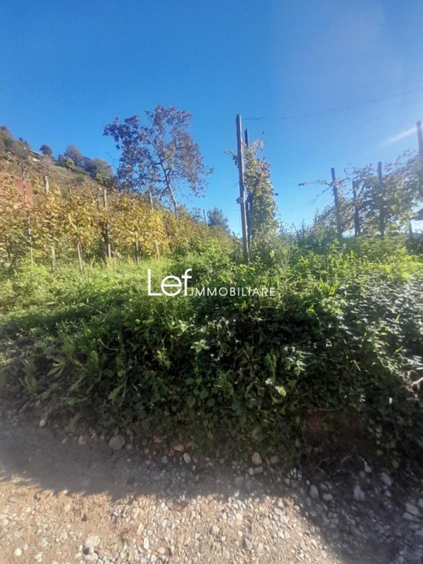 terreno agricolo in vendita a Follina in zona Farrò
