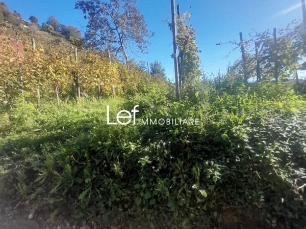 terreno agricolo in vendita a Follina in zona Farrò