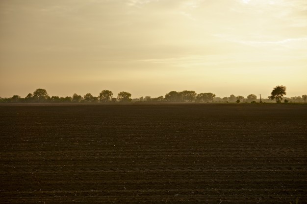 terreno agricolo in vendita a Fonte
