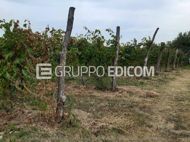 terreno agricolo in vendita a Fonte