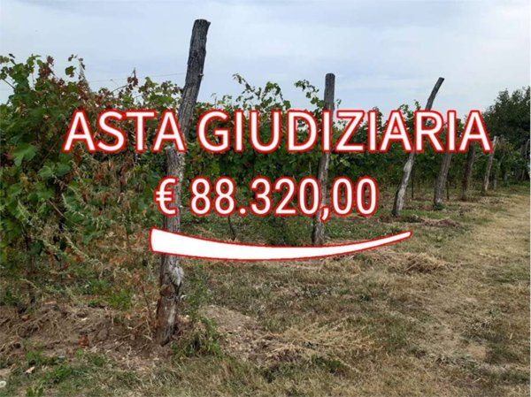 terreno agricolo in vendita a Fonte
