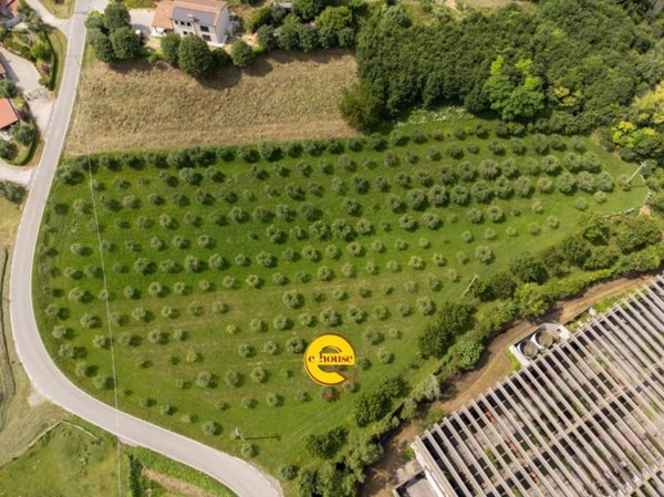 terreno agricolo in vendita a Fonte