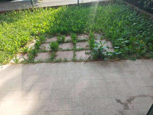 appartamento in vendita a Fonte
