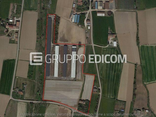 negozio in vendita a Fonte