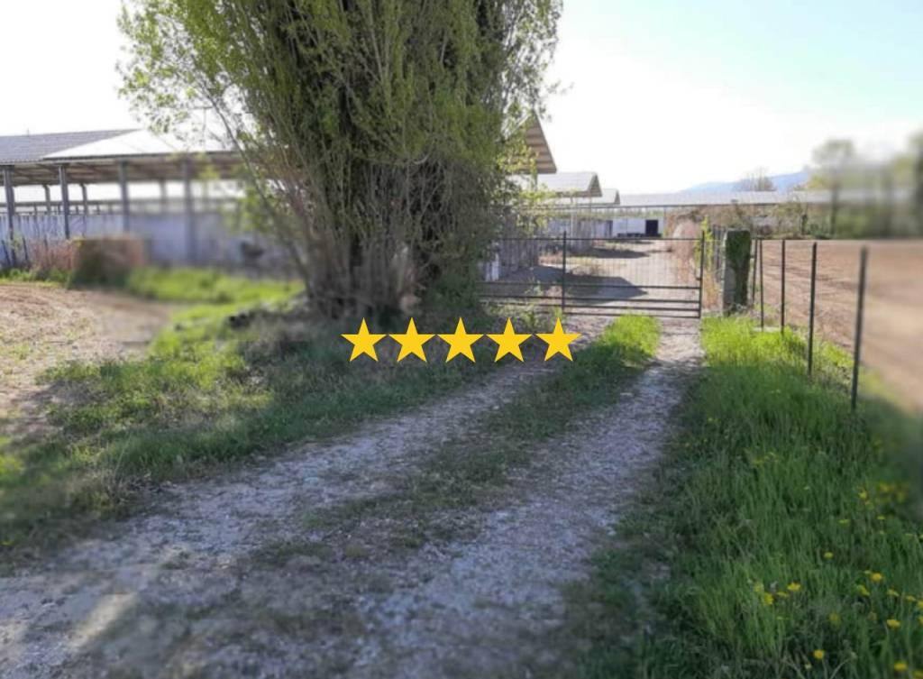 appartamento in vendita a Fonte