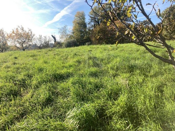 terreno agricolo in vendita a Fonte