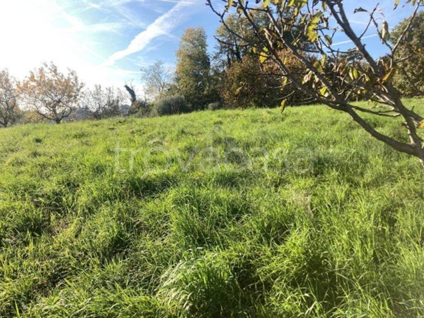terreno agricolo in vendita a Fonte