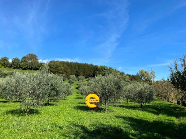 terreno agricolo in vendita a Fonte