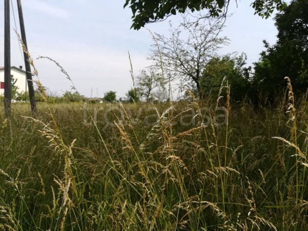 terreno agricolo in vendita a Fonte