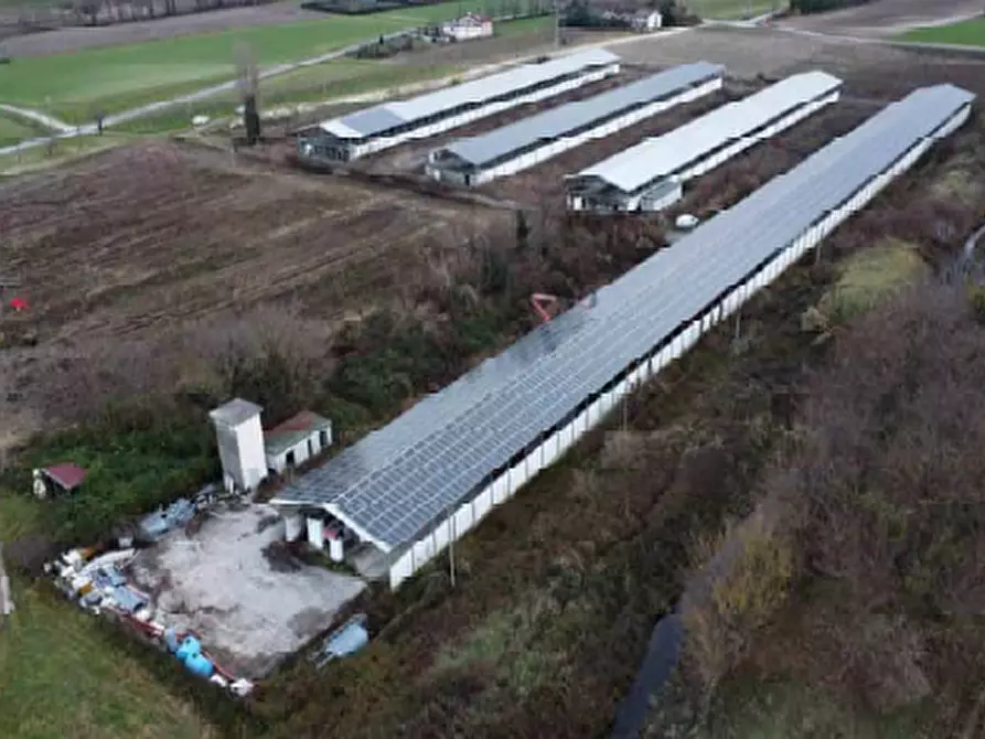 negozio in vendita a Fonte