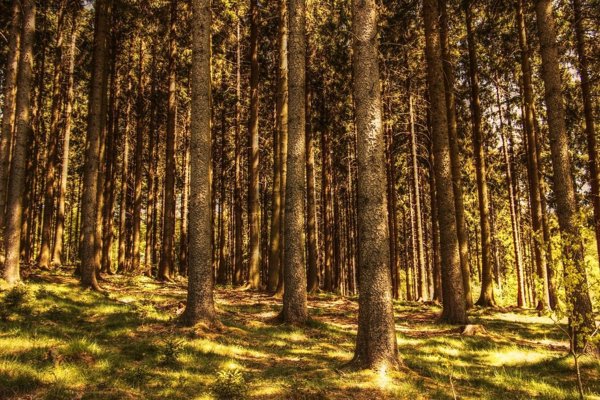 rudere in vendita a Fregona