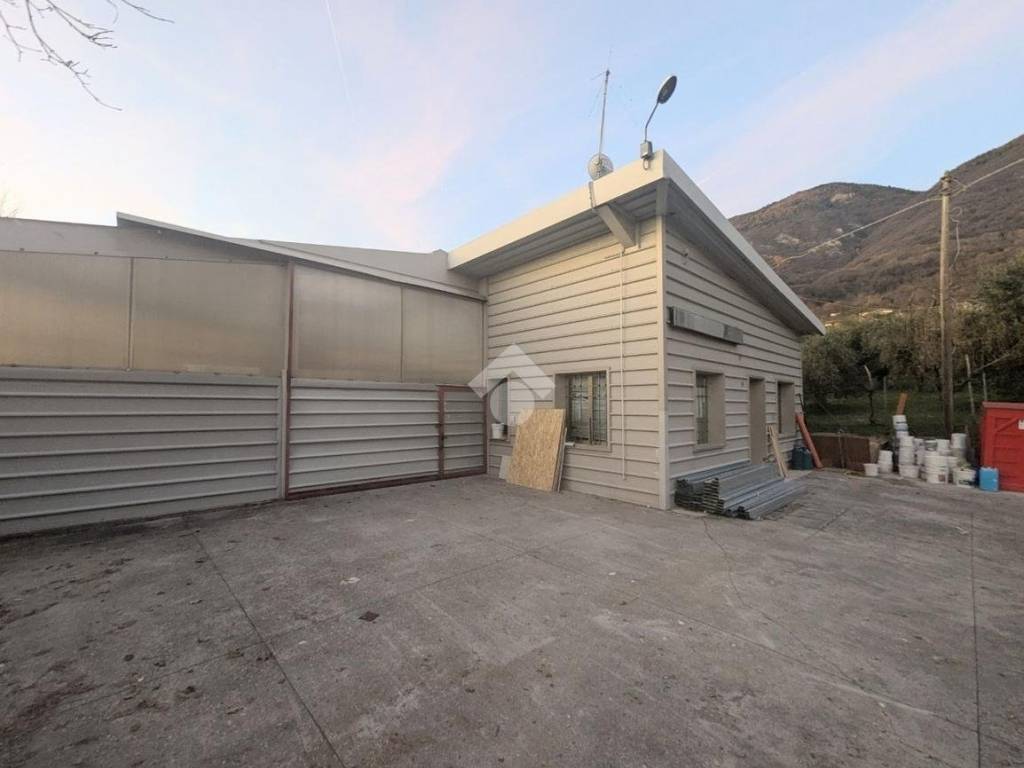 immagine annuncio 0 di 1