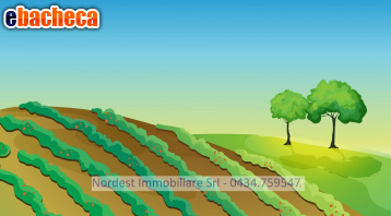 terreno agricolo in vendita a Gaiarine in zona Francenigo