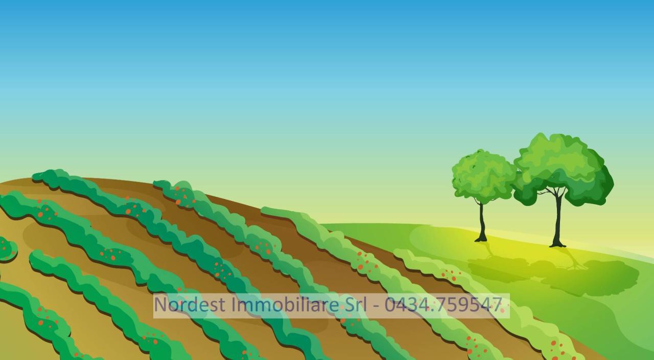 terreno agricolo in vendita a Gaiarine in zona Francenigo