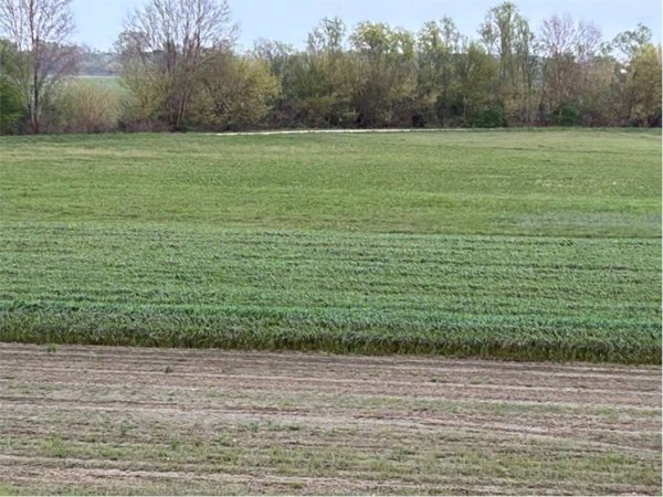 terreno agricolo in vendita a Gaiarine