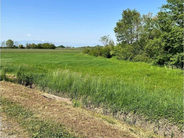 terreno agricolo in vendita a Gaiarine