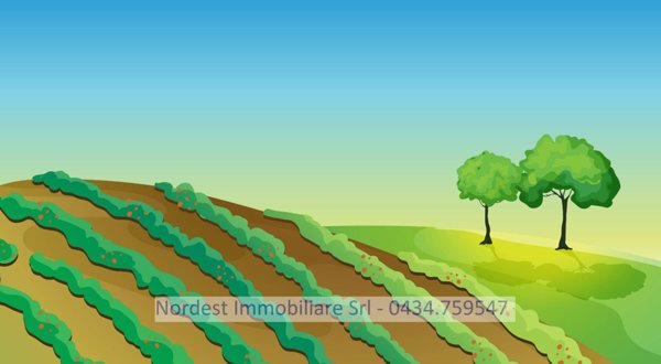 terreno agricolo in vendita a Gaiarine in zona Francenigo