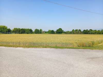 terreno agricolo in vendita a Gaiarine
