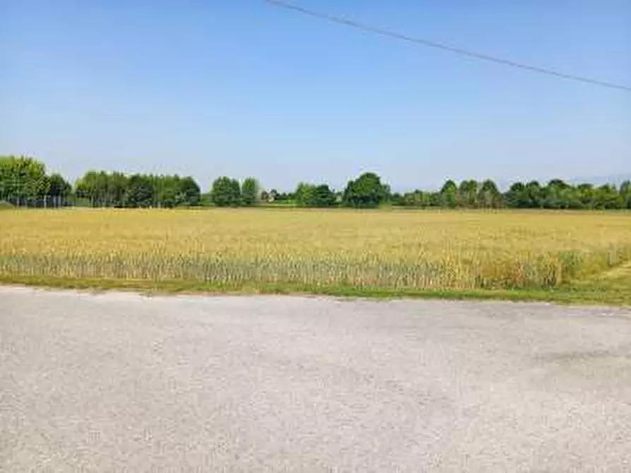 terreno agricolo in vendita a Gaiarine in zona Campomolino
