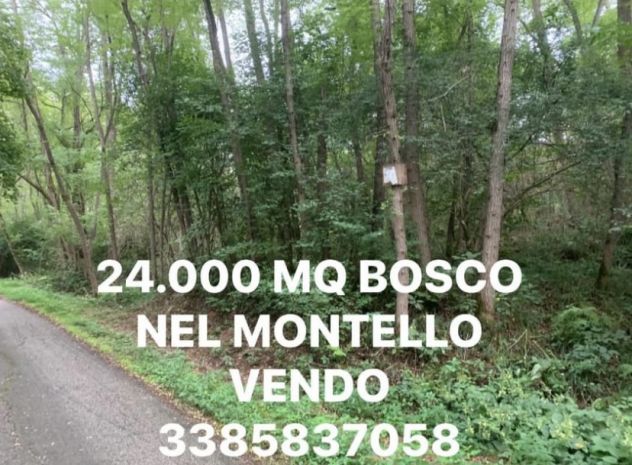 terreno agricolo in vendita a Giavera del Montello