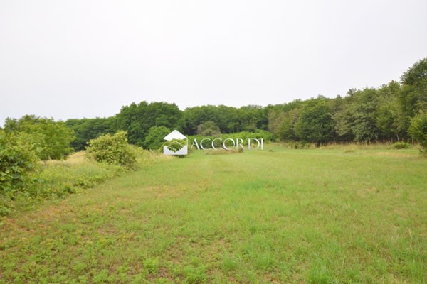 terreno edificabile in vendita a Giavera del Montello