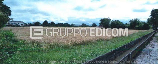 terreno edificabile in vendita a Giavera del Montello in zona Cusignana