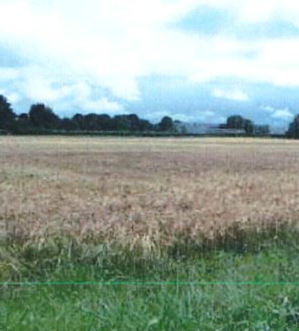 terreno edificabile in vendita a Giavera del Montello in zona Cusignana