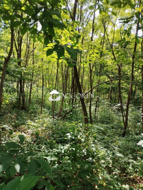 terreno agricolo in vendita a Giavera del Montello in zona Santi Angeli