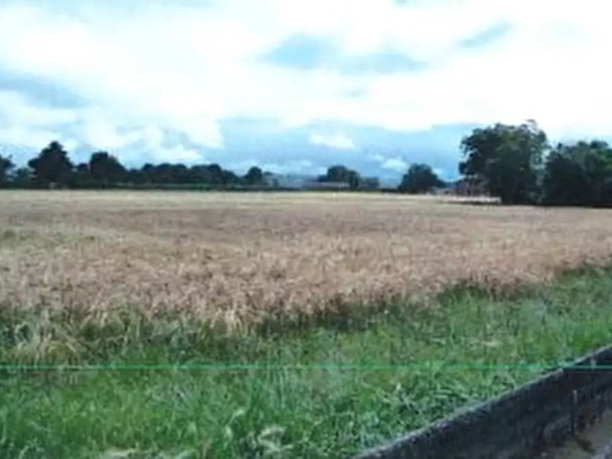 terreno edificabile in vendita a Giavera del Montello in zona Cusignana
