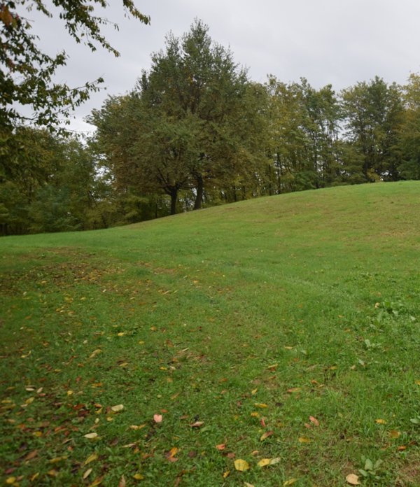 immagine annuncio 0 di 15