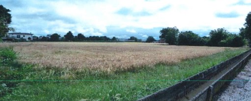 terreno edificabile in vendita a Giavera del Montello in zona Cusignana