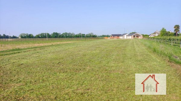 terreno edificabile in vendita a Giavera del Montello in zona Cusignana
