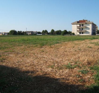 terreno edificabile in vendita a Giavera del Montello in zona Cusignana