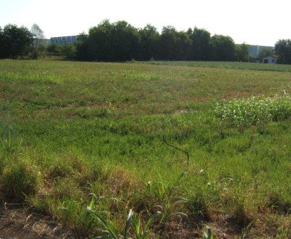 terreno edificabile in vendita a Giavera del Montello in zona Cusignana