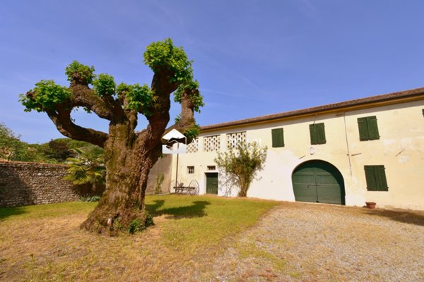 casa indipendente in vendita a Godega di Sant'Urbano