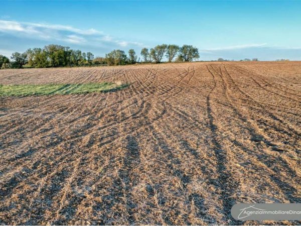 terreno agricolo in vendita a Gorgo al Monticano in zona Cavalier