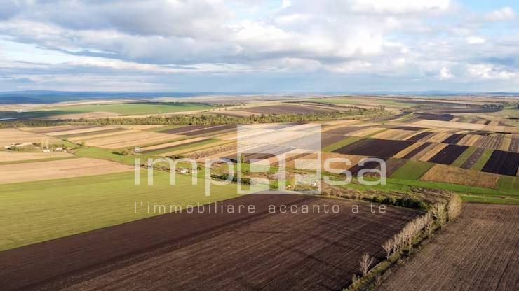 terreno agricolo in vendita a Gorgo al Monticano