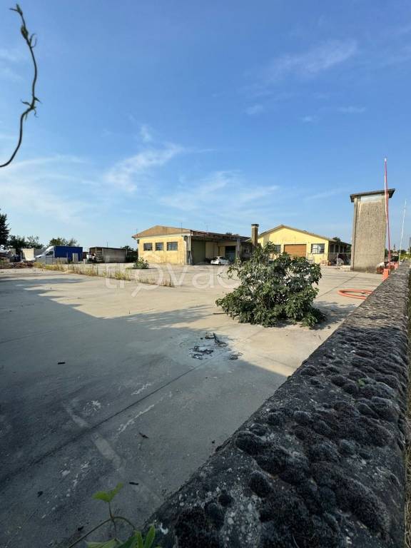 locale commerciale in vendita ad Istrana