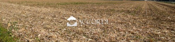 negozio in vendita ad Istrana