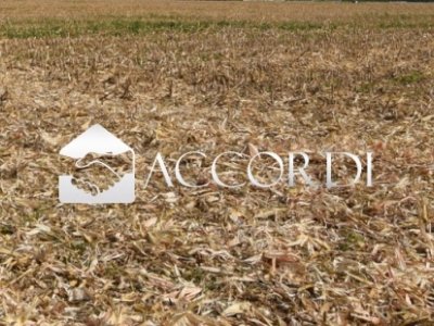 terreno agricolo in vendita ad Istrana