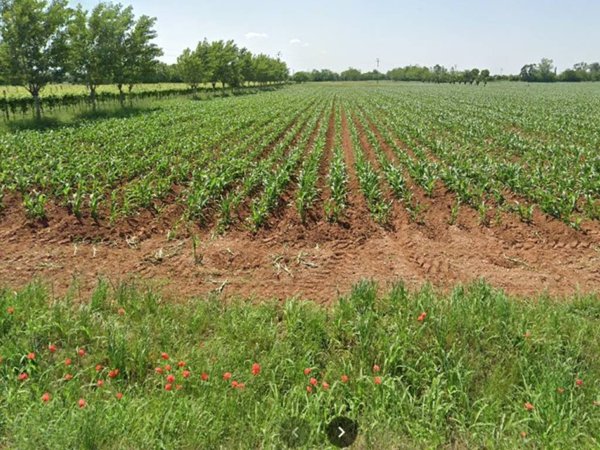 terreno agricolo in vendita ad Istrana