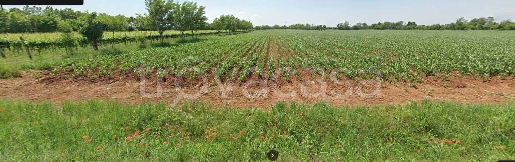 terreno agricolo in vendita ad Istrana
