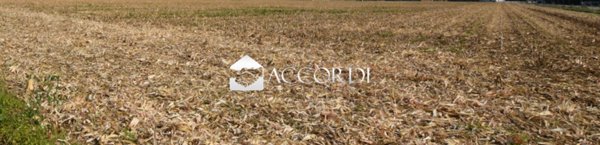 terreno agricolo in vendita ad Istrana
