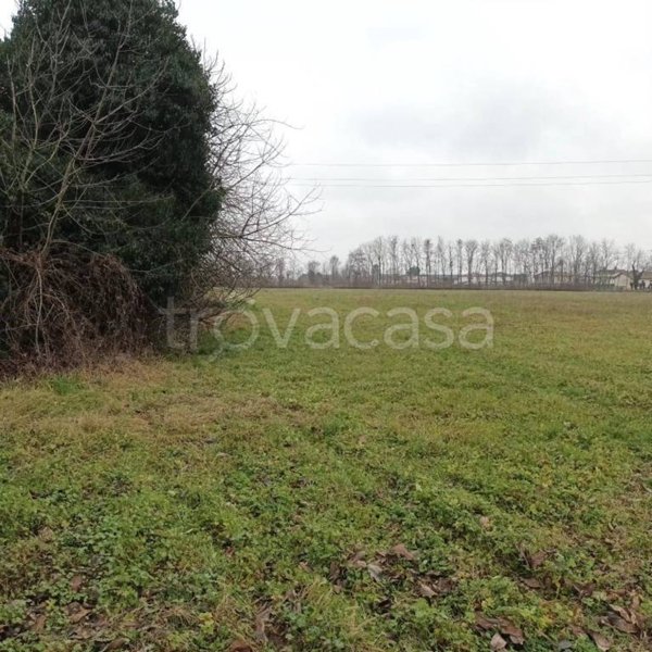 casa indipendente in vendita ad Istrana